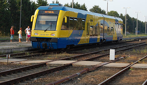 FPSS slide image