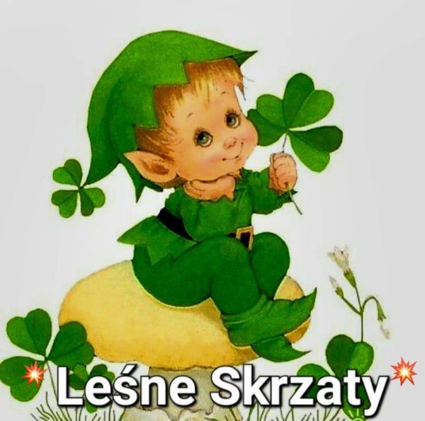 Leśne Skrzaty.jpg